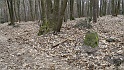 Ritterstein Nr. 016-4 Krönungsbusch